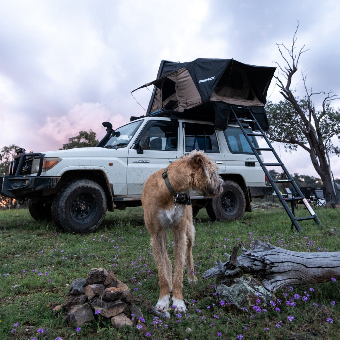 Tente de toit rigide RHINO-RACK de 2100x1300mm, déployée sur un véhicule, offrant espace de camping compact et durable.