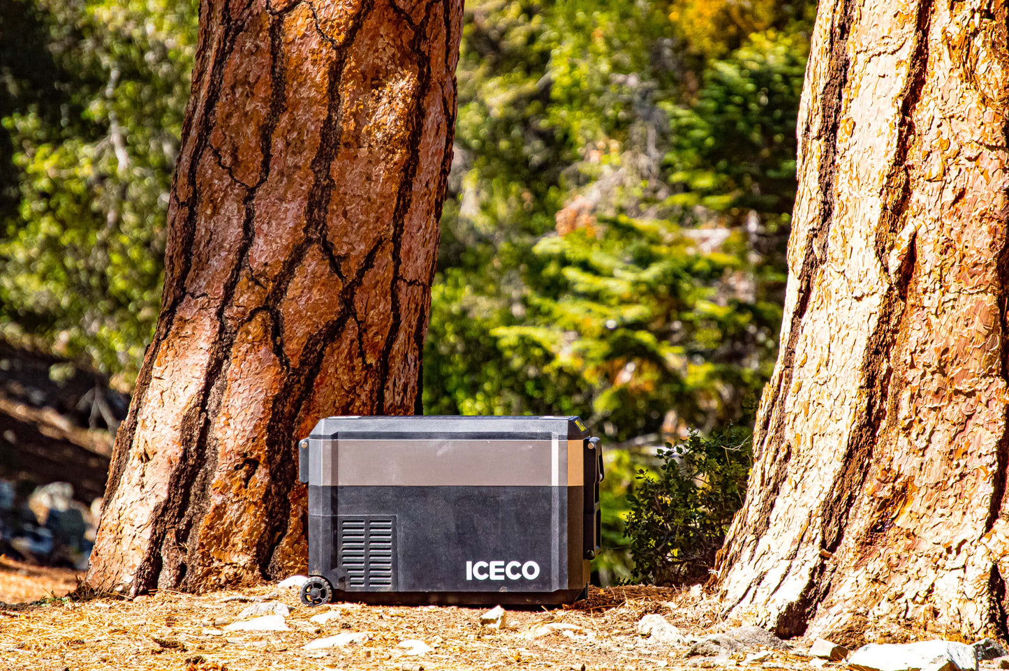 Réfrigérateur congélateur ICECO JP40 PROS, 40L, zone unique, compact et portable pour le camping et les activités extérieures.